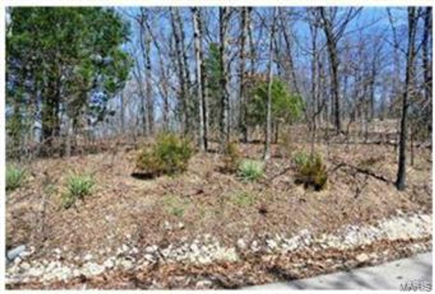 Best lake-view lot available. Close to pool and restaurant.  Easy access to gate, dam and boat ramp.  The road is paved. Amenities include swimming, boating, fishing, shower house, laundry, pavilions, beaches, swimming pool, & restaurant. Lake Perry is a gated community.  Must have a key card to show. Utilities are accessible. One owner is a real estate broker. Lake Perry's 2016 dues are $675 annually.