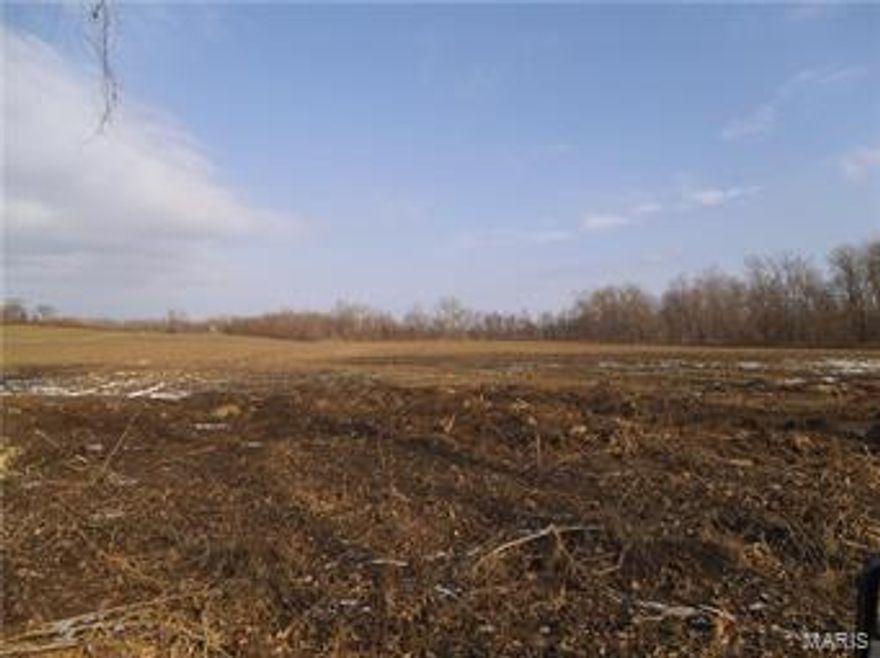 467 ACRES M/L at edge of Troy.  Cuivre River runs through this property.  Property mostly river bottom with wooded acreage and some hill ground.  This parcel has great hunting, fishing and recreation for the entire family, and lays at the edge of Troy.  Seldom does this type of opportunity become available!  Property is being sold in one tract.