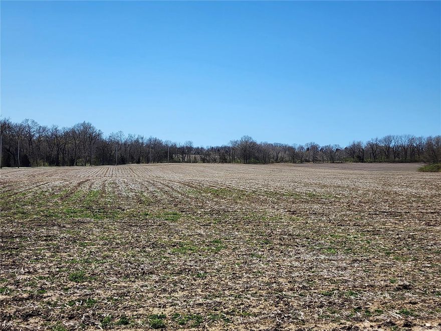 44+/- Acres of excellent, hard to find acreage perfect for residential development, investment opportunities or 1031 buyers.  This beautiful, gently rolling cropland and pasture has scattered tree lines and is easily accessible with blacktop country road frontage on two sides just 2 miles off Hwy 61 and 10 minutes from Wentzville.  City of Moscow Mills public water and sewer located 1/2 mile from the property and a gas pipeline crosses through it.  Take a closer look at this remarkable piece of land and discover your next investment or development opportunity!