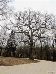 Country Club Heights - Residential