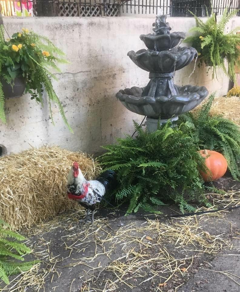 Soulard - Residential