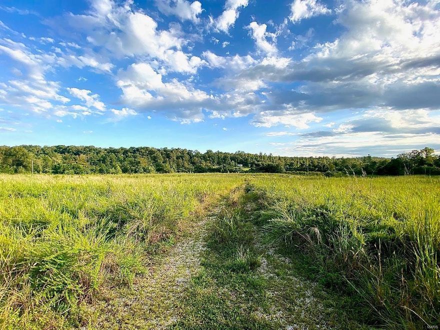 This 10 acres m/l is a perfect building site ready for your dream home. Only minutes from Ellsinore. 2 acres wooded on North side of A Hwy, 8 acres on South side of A Hwy. All utilities (previous home site), pond and a live stream on property, 2 wells, septic and electric.