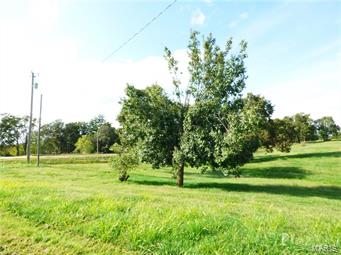 Other, Rural - Residential