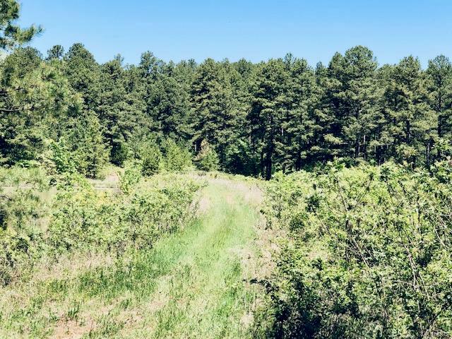 Unknown - Farm