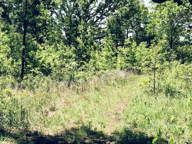 Unknown - Farm