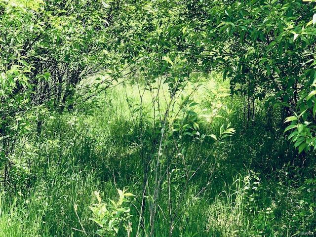 Unknown - Farm