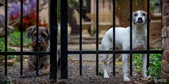 Wydown Terrace - Residential