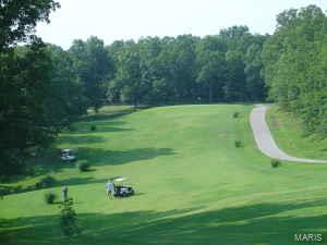 Raintree Plantation - Land