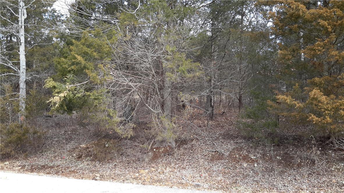 Raintree Plantation - Land