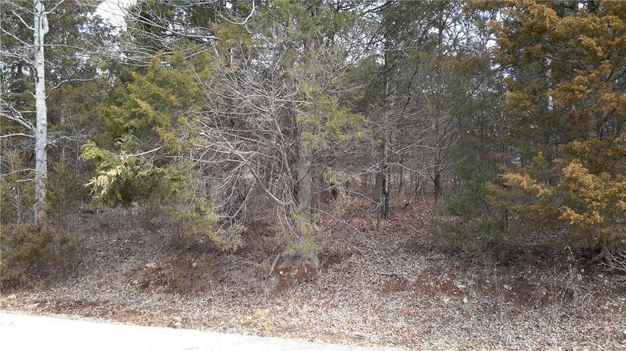 Premium 1st Tier WATER-VIEW residential building lot #39 on the inner land on Jerry's Point overlooking the main body of the largest 127 acre skiing lake in Raintree! 1 of 5 separate adjoining lots being purchased at around the same time (Sec 4 Lots 39-43) forming a very special home-site. Additional Rooms: In Platted Subdv.