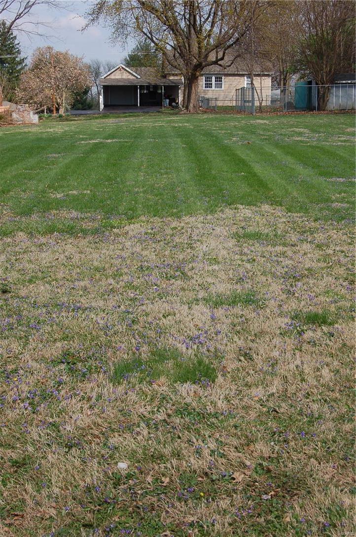 St Ferdinand Commons - Residential