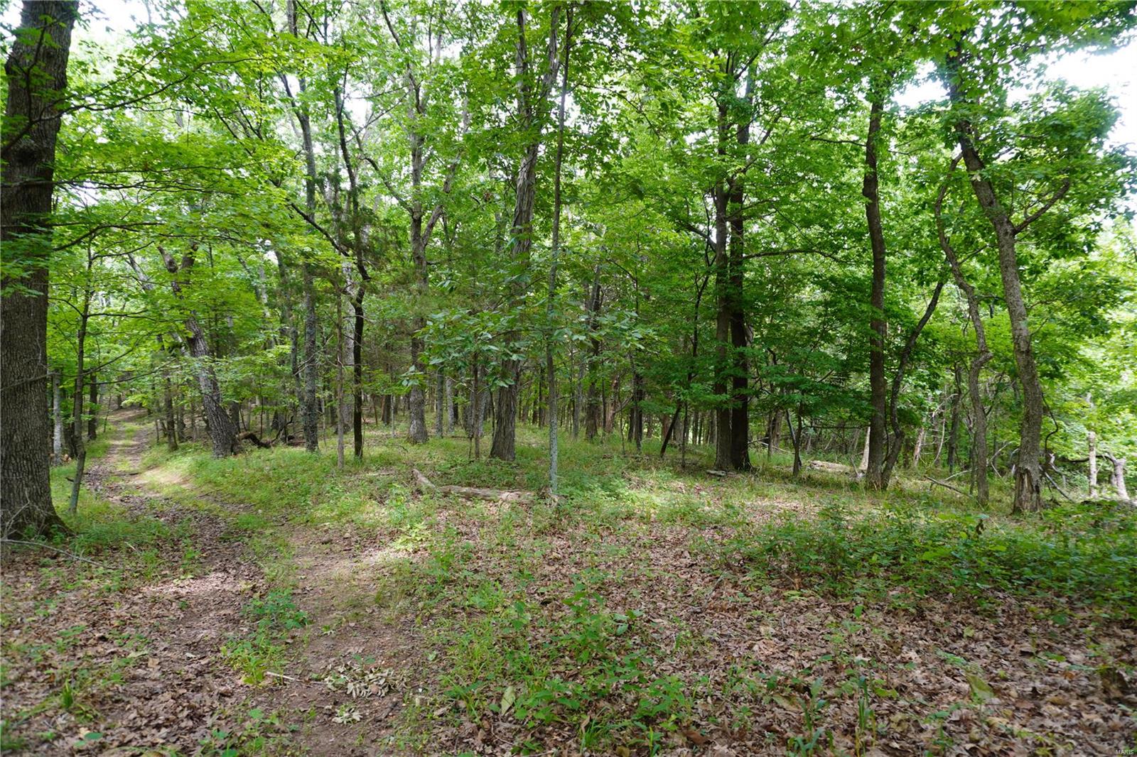 Hummingbird Hills - Farm