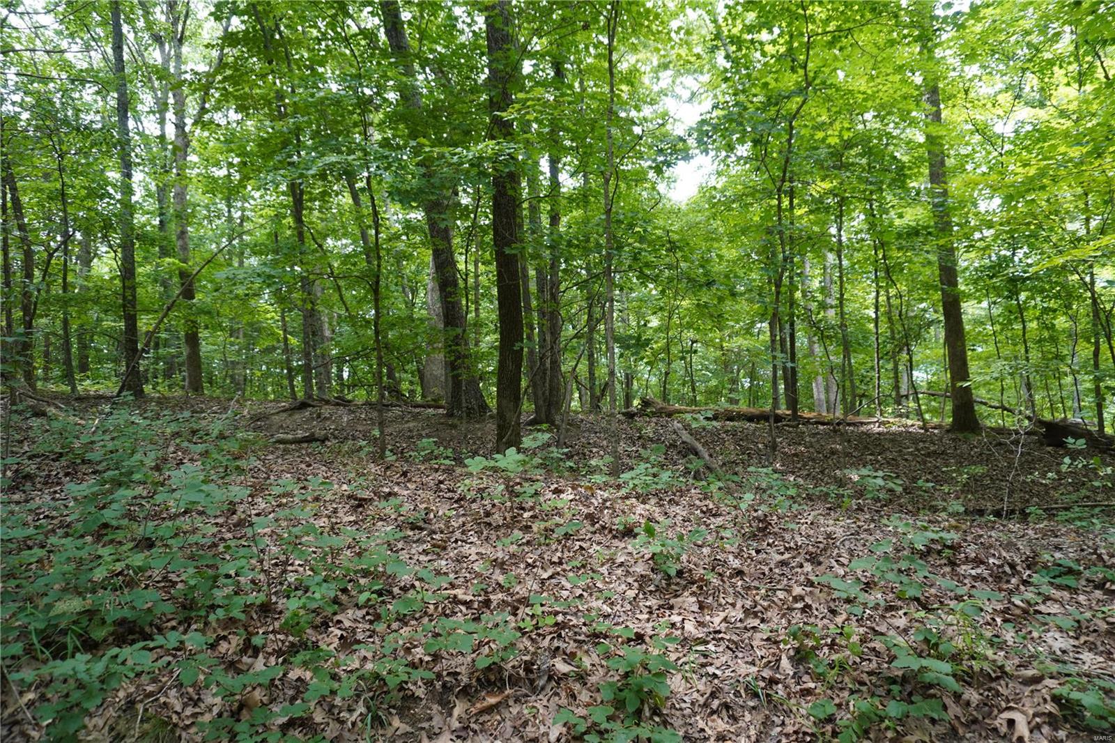 Hummingbird Hills - Farm