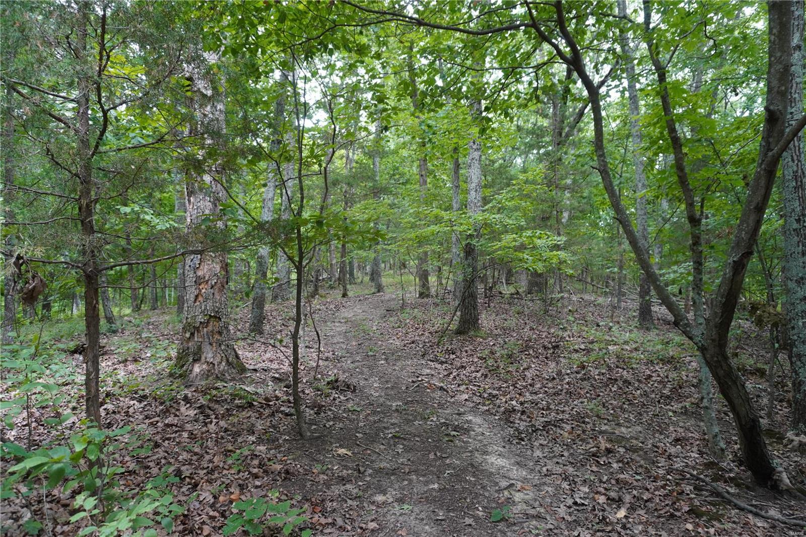 Hummingbird Hills - Farm