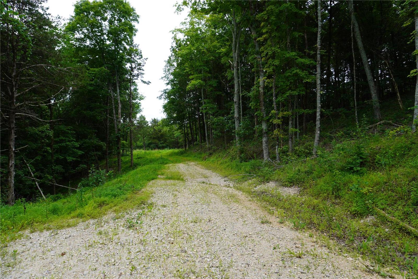 Hummingbird Hills - Farm