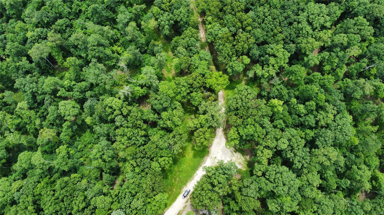 Hummingbird Hills - Farm