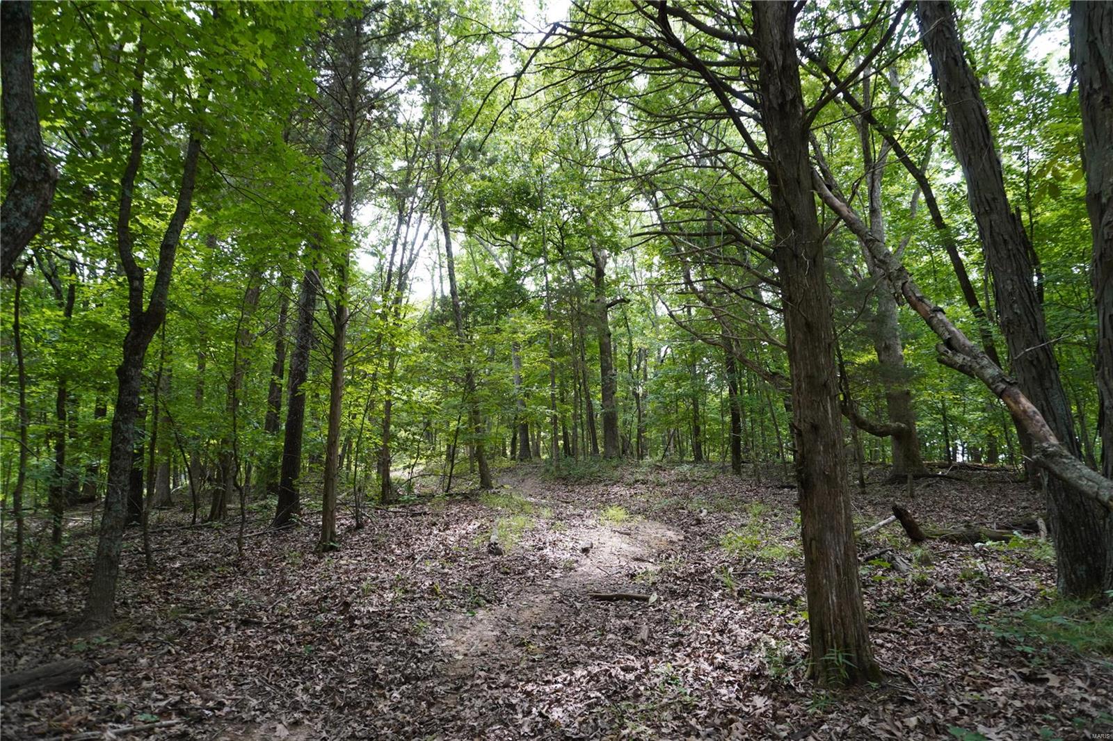 Hummingbird Hills - Farm