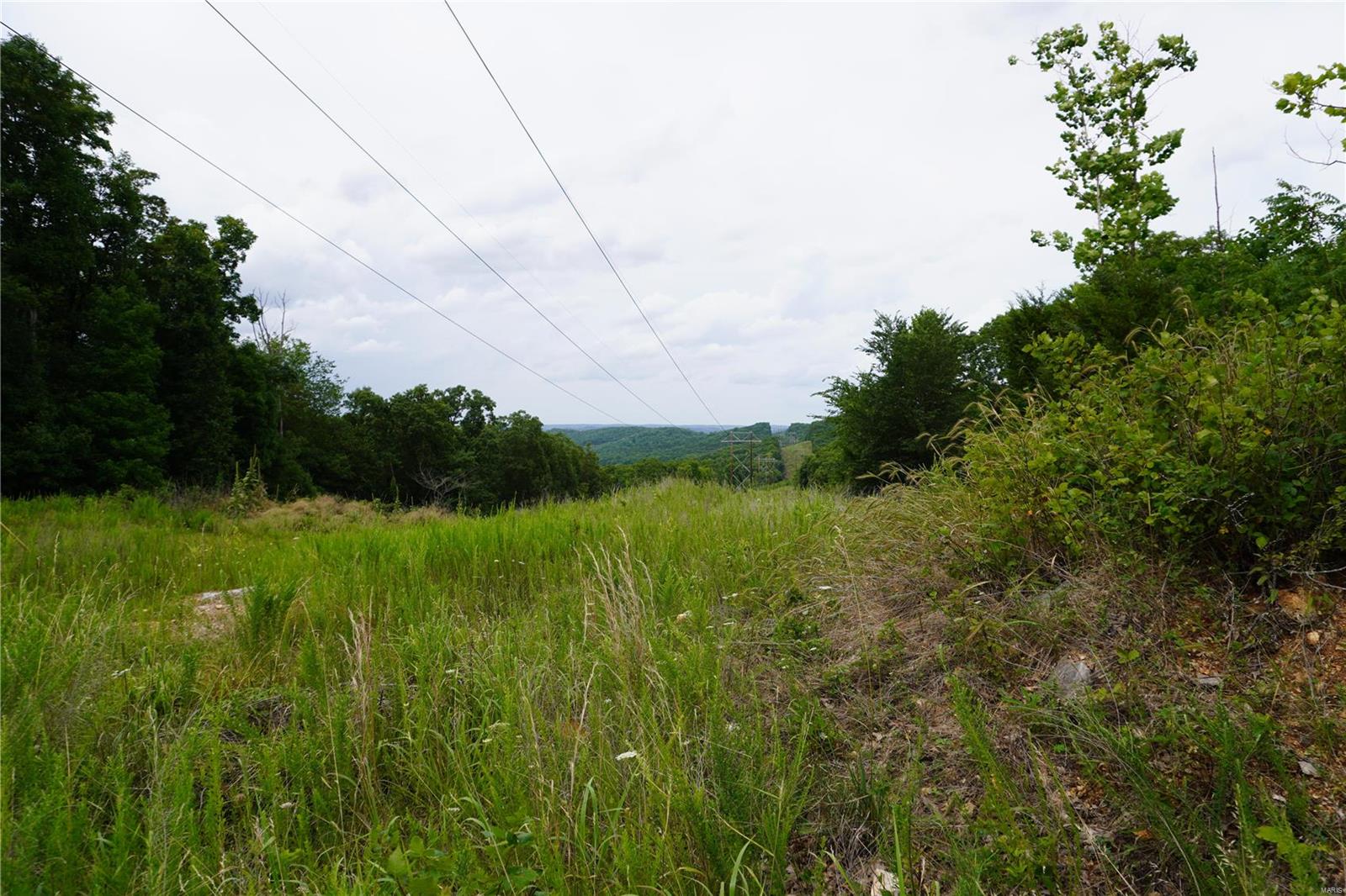 Hummingbird Hills - Farm