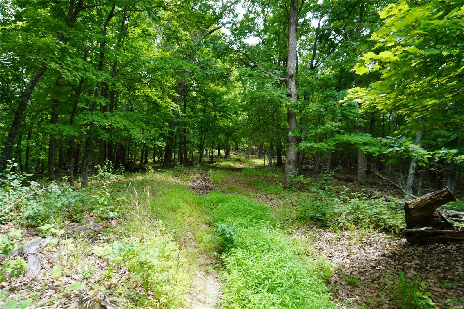 Hummingbird Hills - Farm