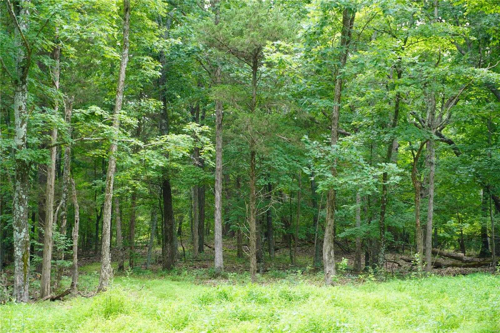 Hummingbird Hills - Farm