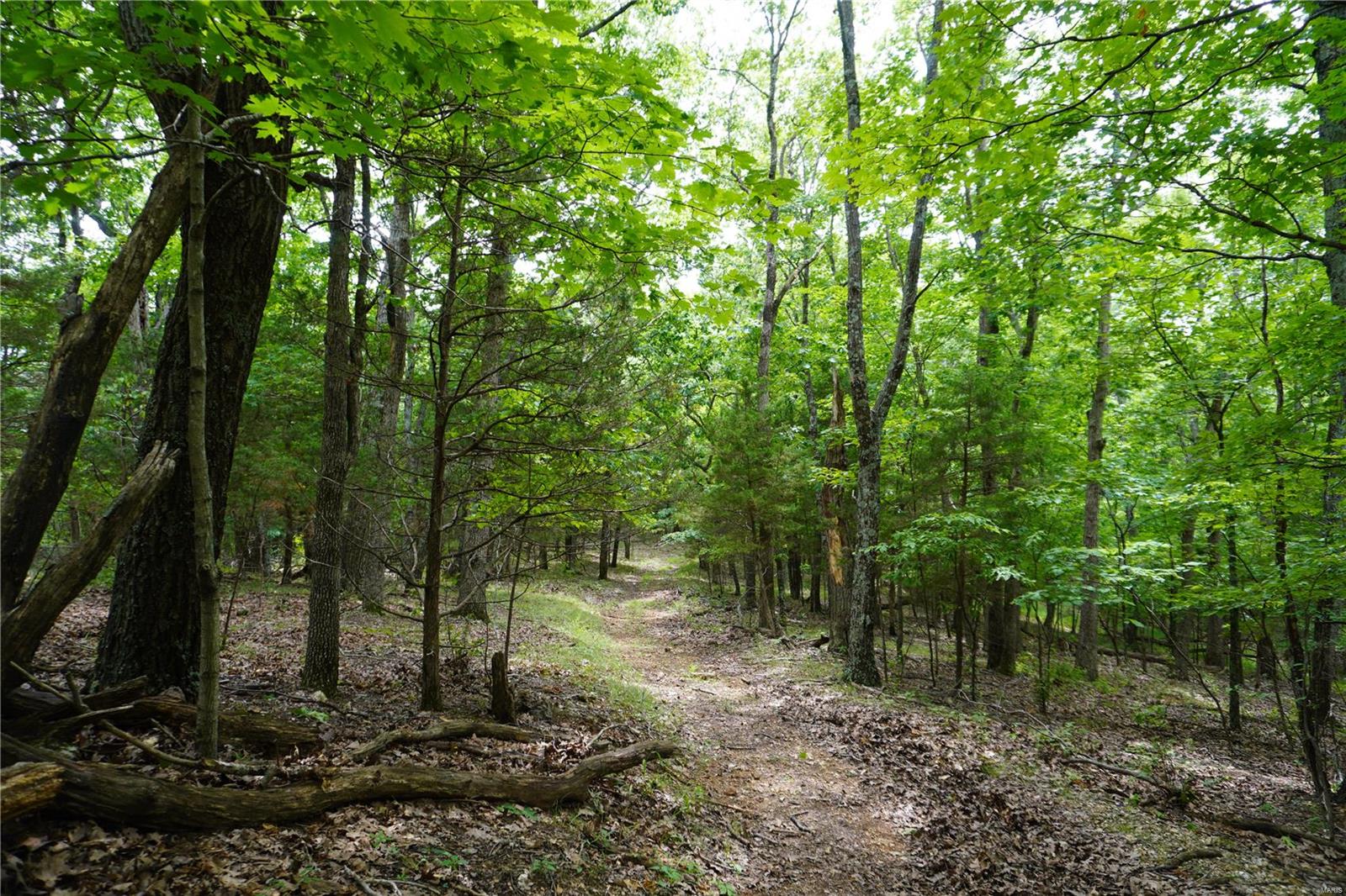 Hummingbird Hills - Farm