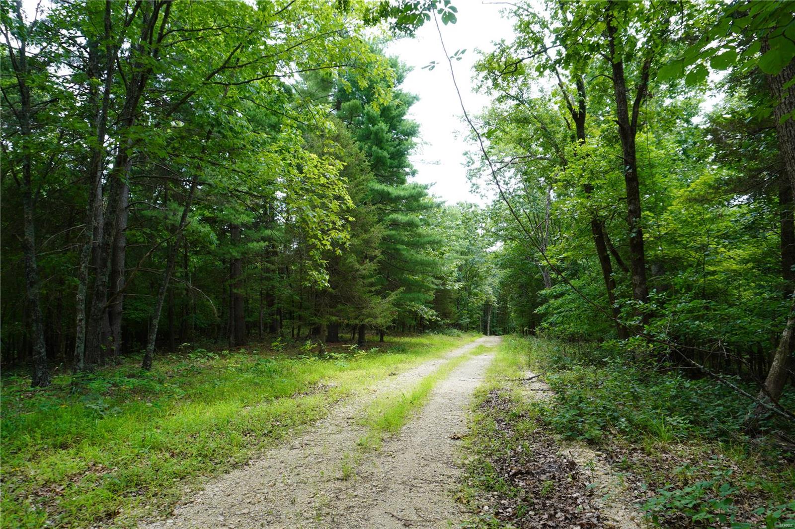 Hummingbird Hills - Farm