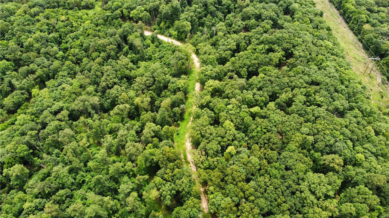 Hummingbird Hills - Farm