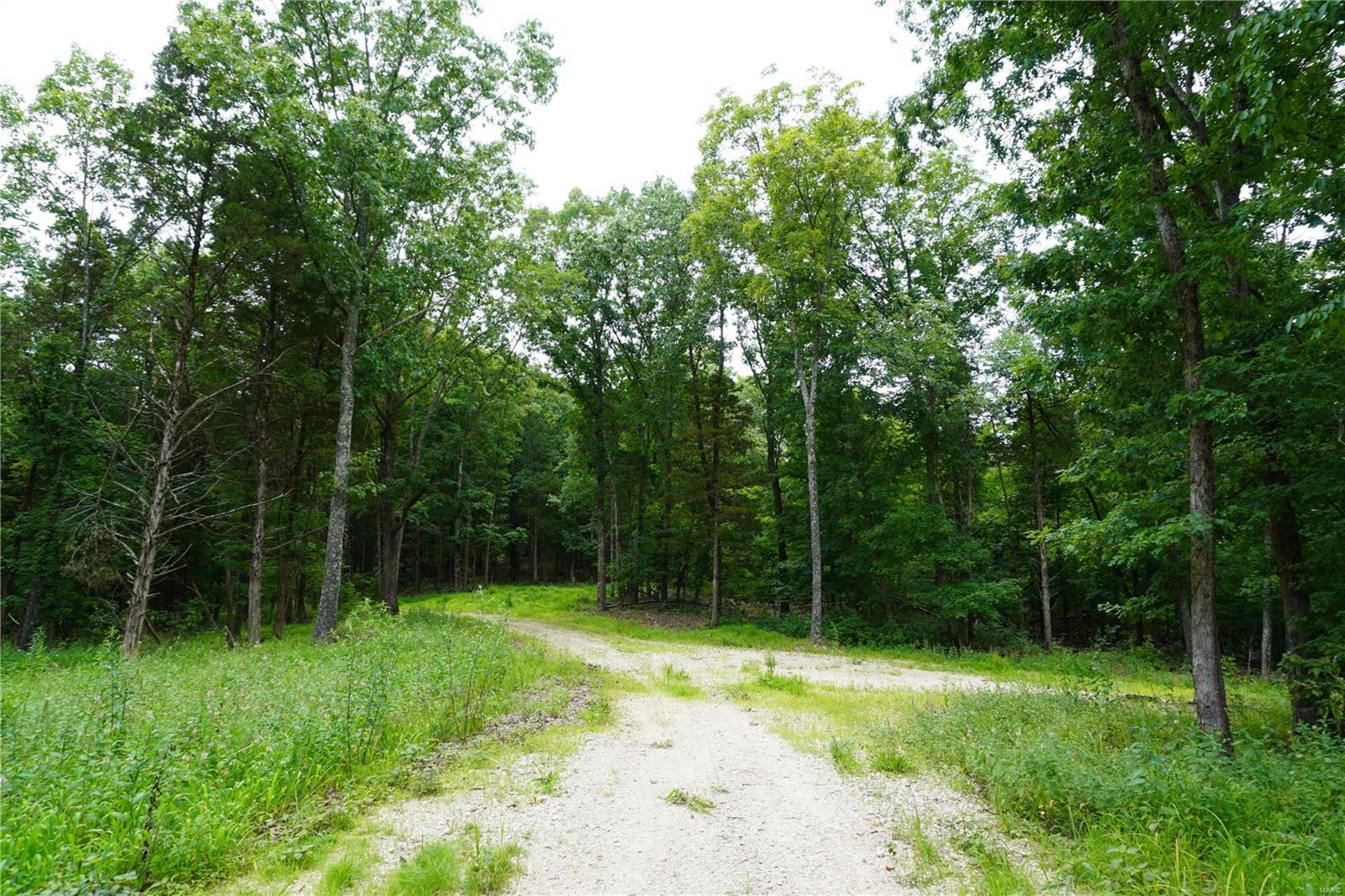 Hummingbird Hills - Farm