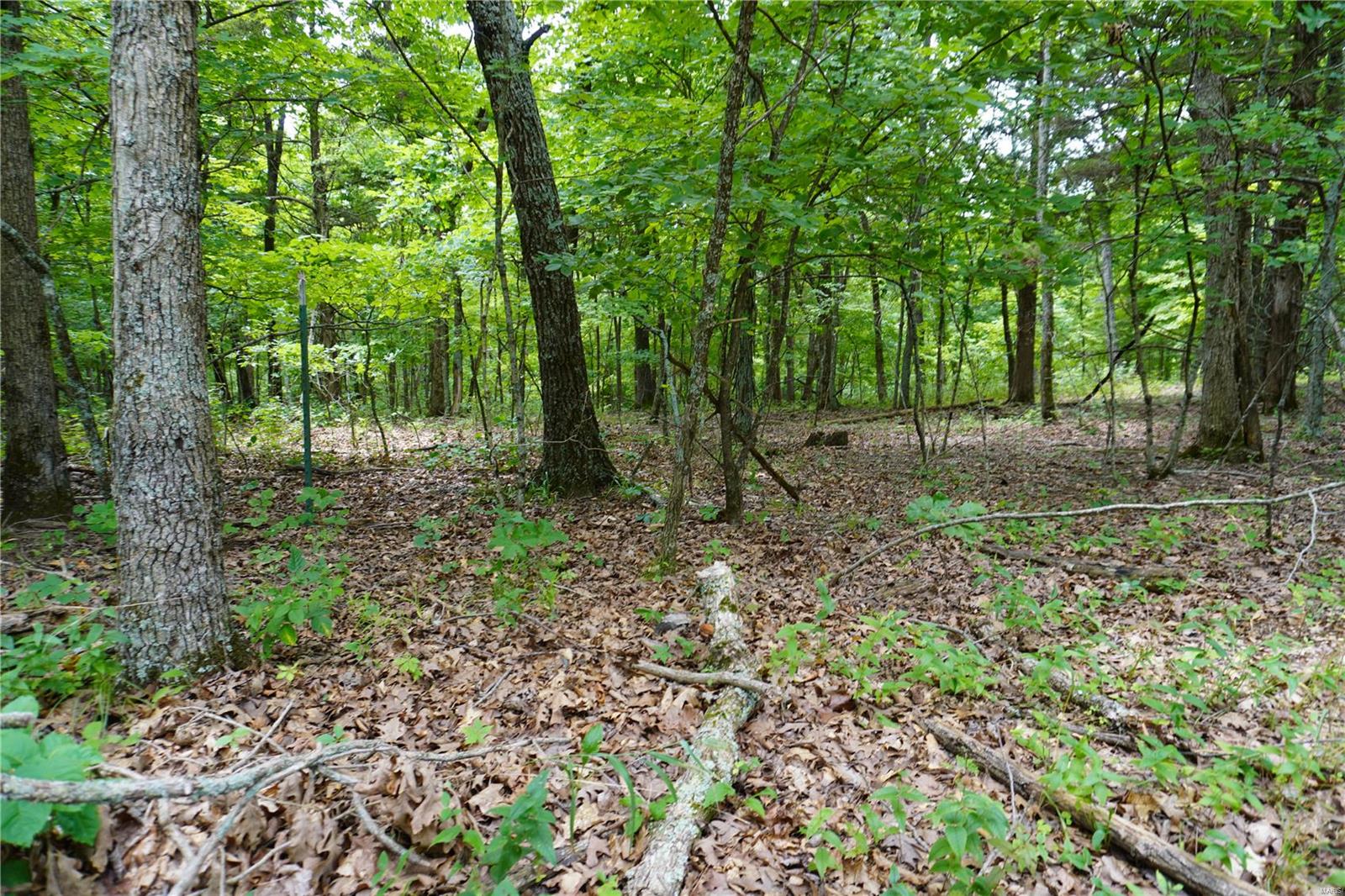 Hummingbird Hills - Farm