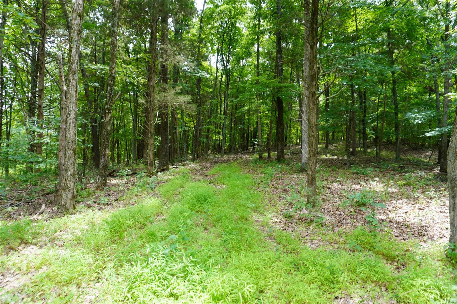 Hummingbird Hills - Farm