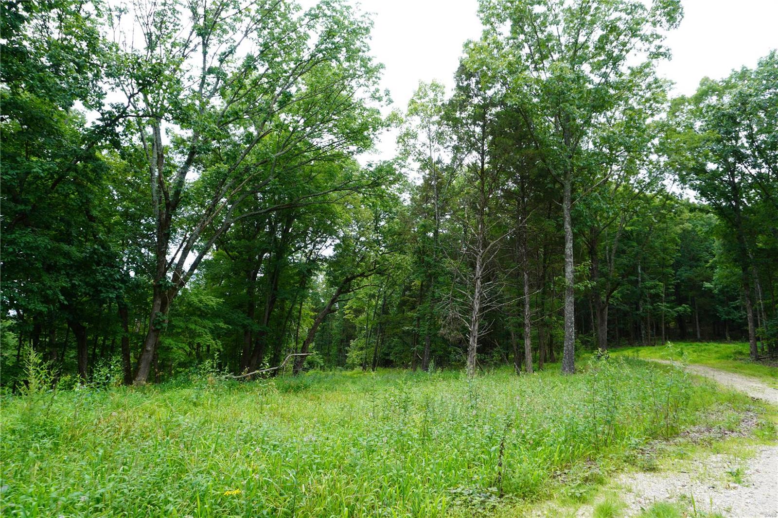 Hummingbird Hills - Farm