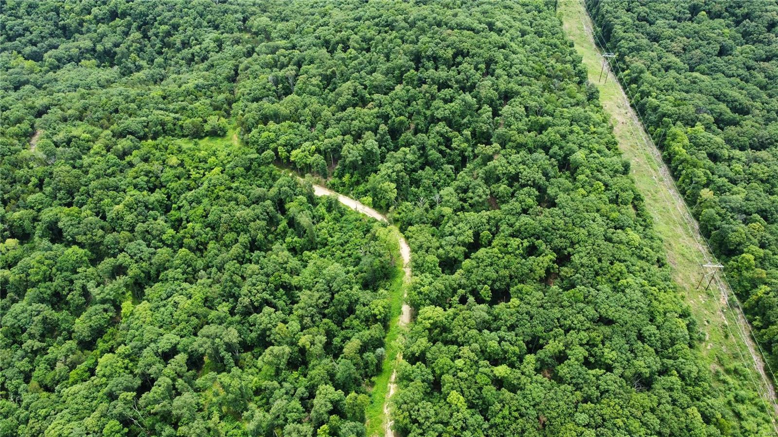 Hummingbird Hills - Farm