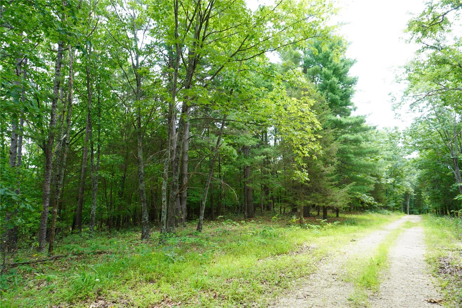 Hummingbird Hills - Farm