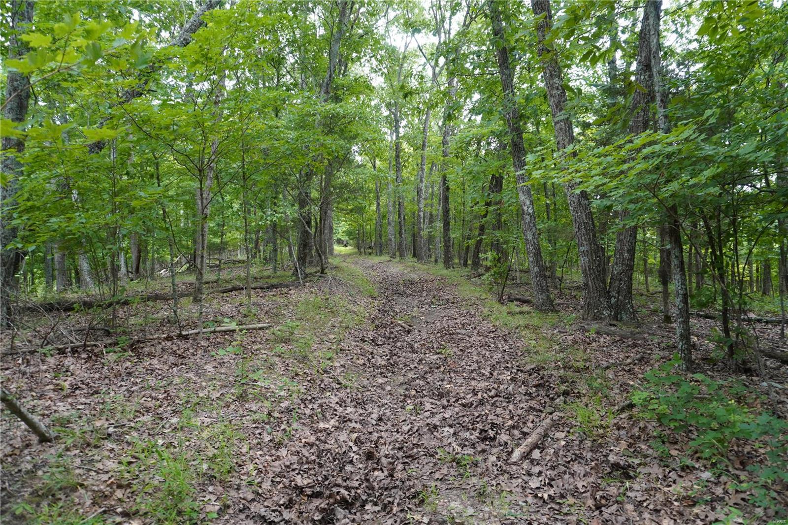 Hummingbird Hills - Farm