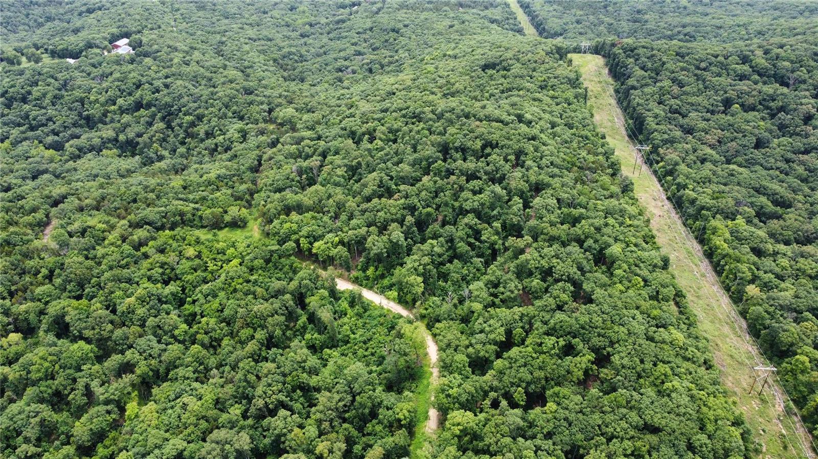 Hummingbird Hills - Farm