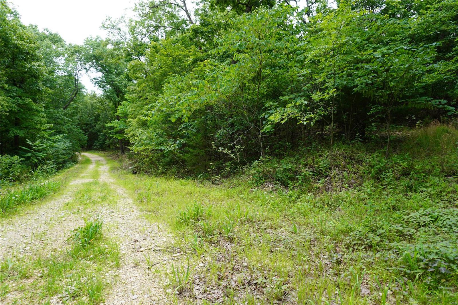 Hummingbird Hills - Farm