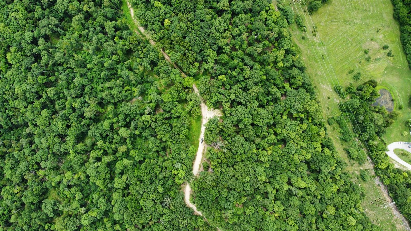 Hummingbird Hills - Farm