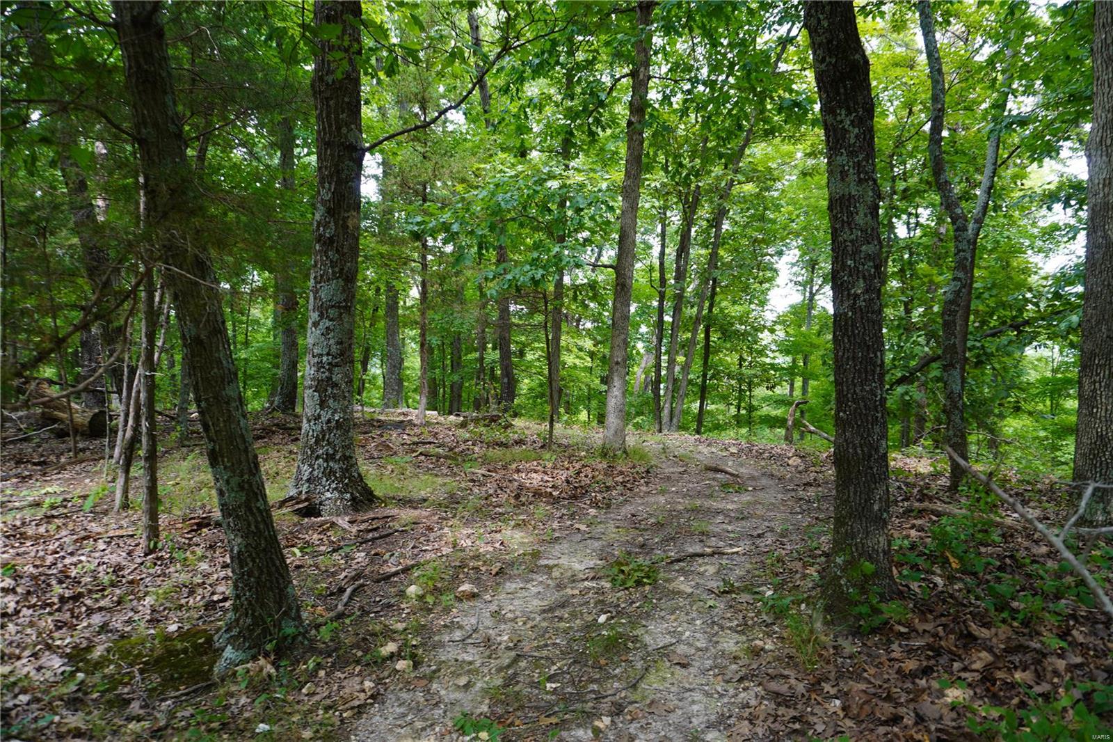 Hummingbird Hills - Farm