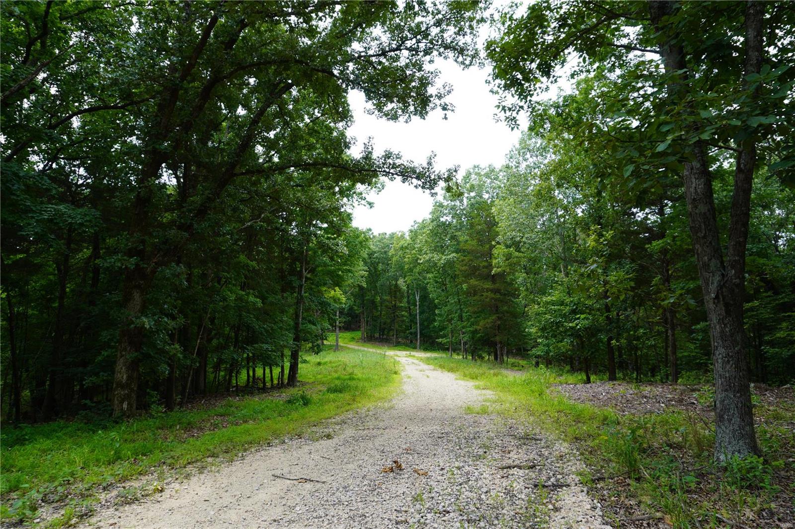 Hummingbird Hills - Farm