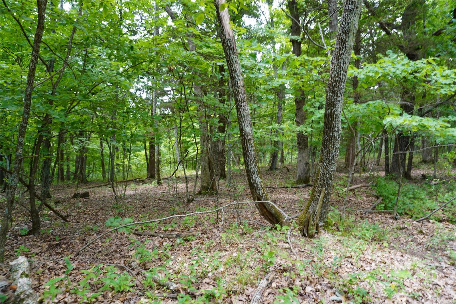 Hummingbird Hills - Farm