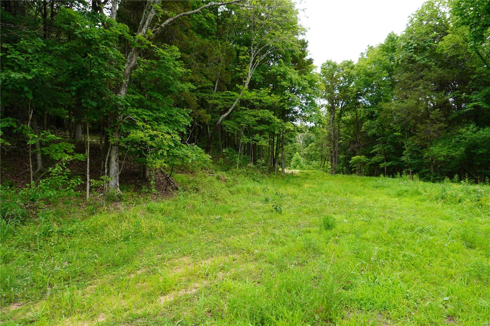 Hummingbird Hills - Farm