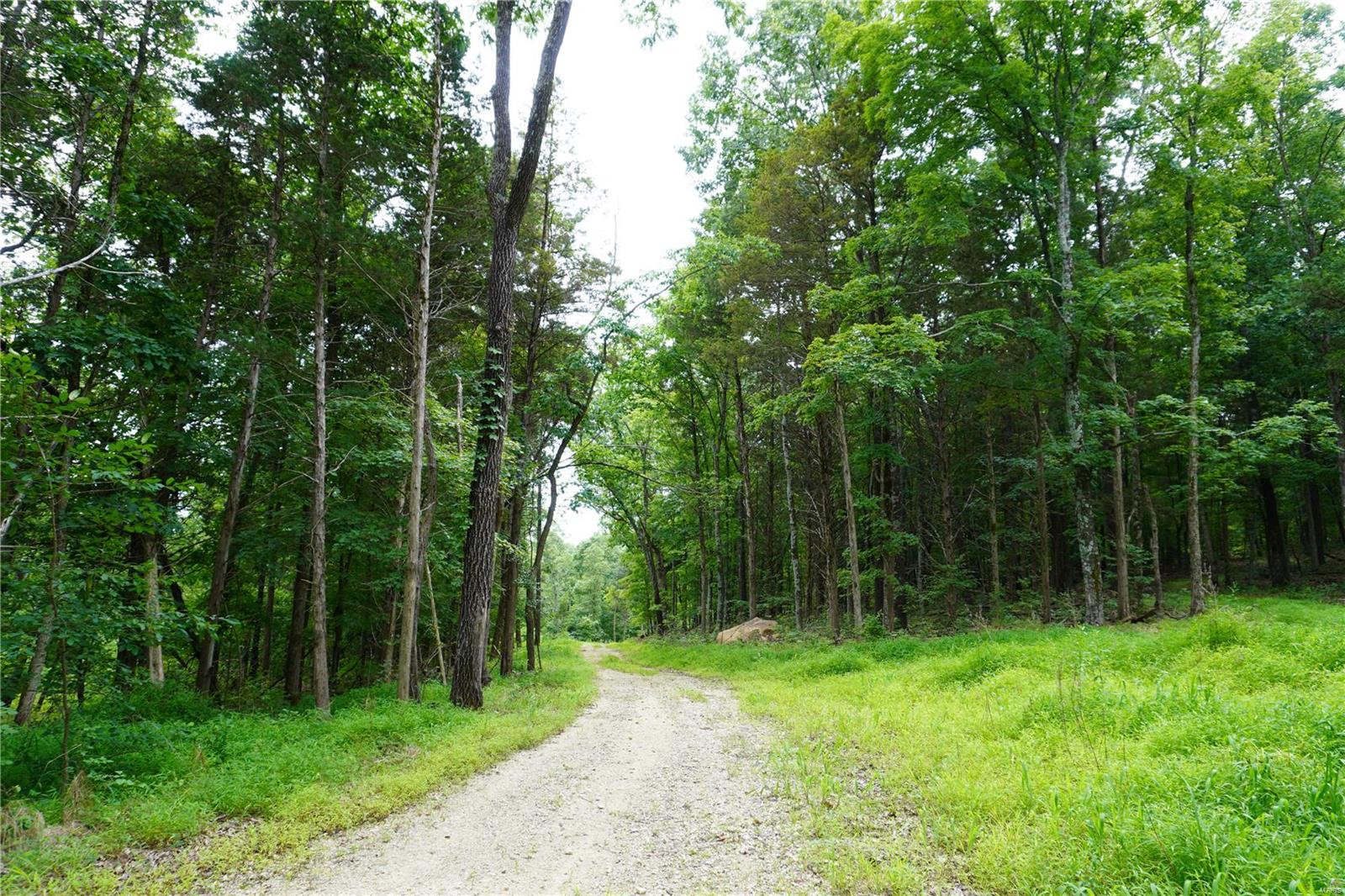 Hummingbird Hills - Farm