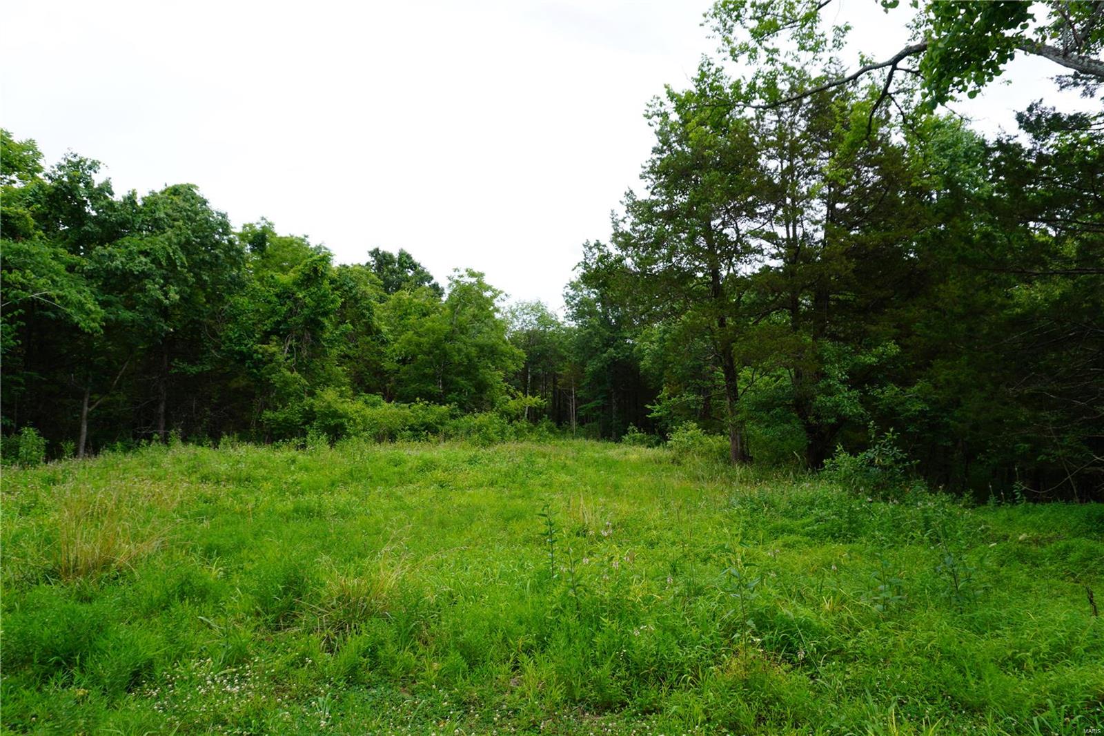 Hummingbird Hills - Farm