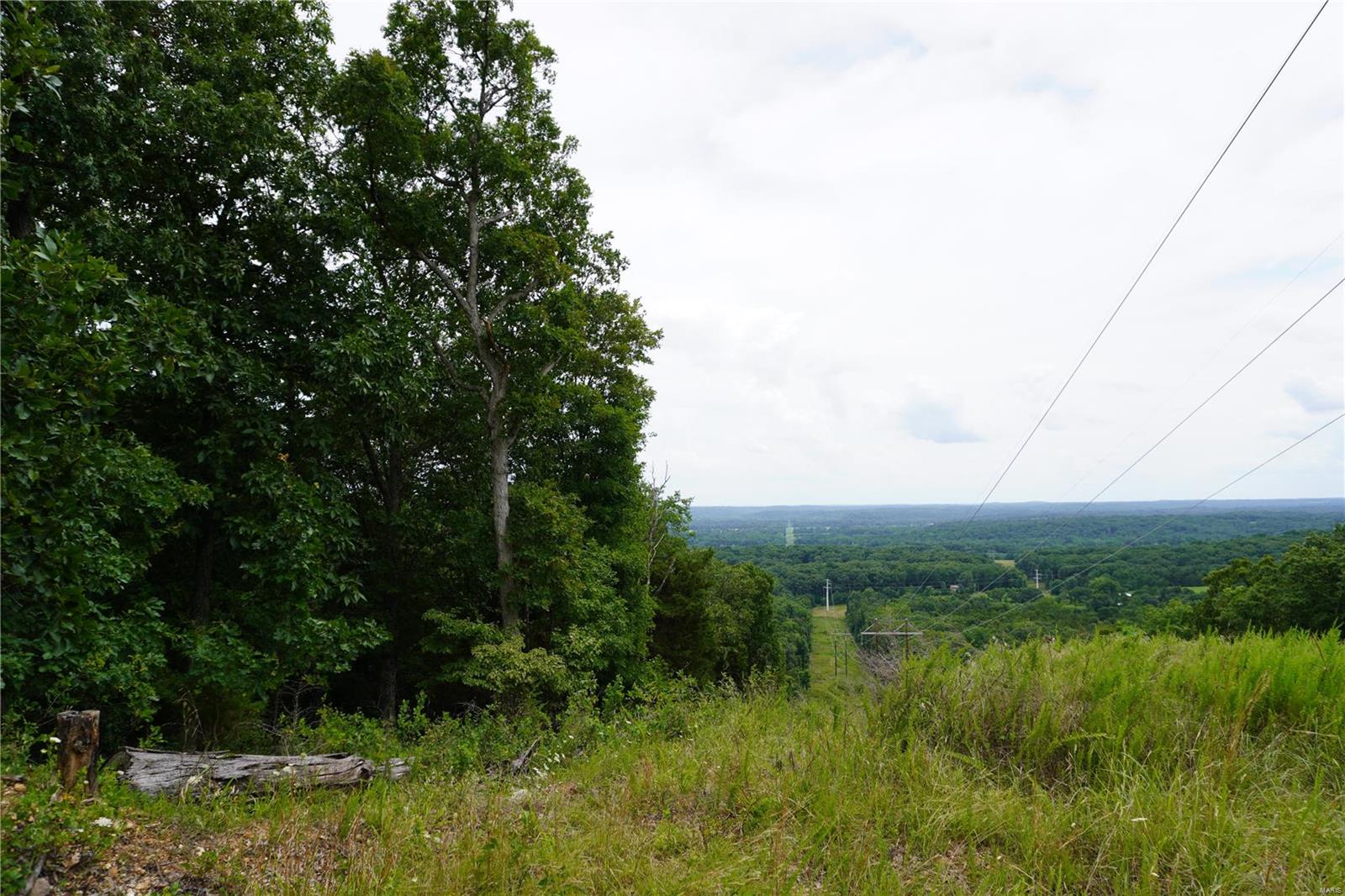 Hummingbird Hills - Farm