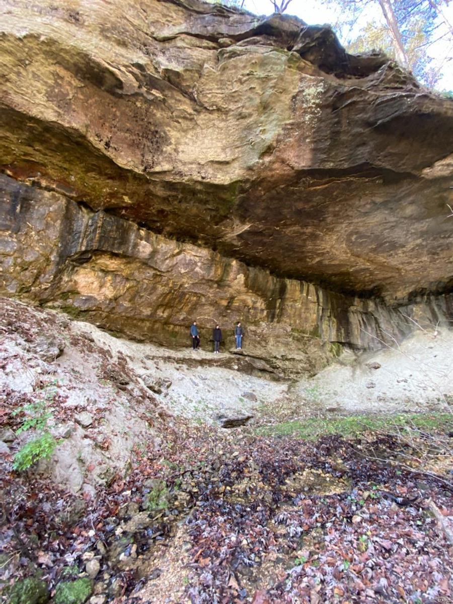 Hummingbird Hills - Farm