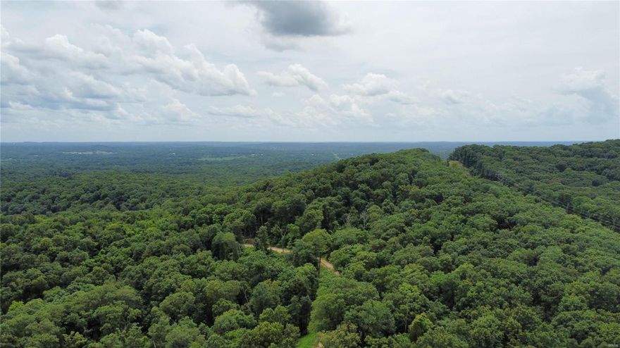 This is a rare opportunity to acquire approximately 140 acres of beautiful property just outside of St. Louis.  Located off of Interstate 44 and only 10 minutes from Eureka, you feel like you are in the middle of nowhere.  You enter the property through Missouri Department of Conservation land, which further adds to the exclusivity of the property.  Build your dream home, use it as a family retreat, or subdivide.  Terrific views over the surrounding valleys!  The silence from the city and tranquil sounds of nature will call you home.   Zoned R2, allows for subdividing down to 2 acre plots.  The land is already laid out for 10 acre plots and road has already been cut through to most of the lots.  Are you tired of conforming to subdivision rules?  Make up your own indentures in this exciting opportunity!  Priced at $8,000 per acre.  Owner will consider subdividing.