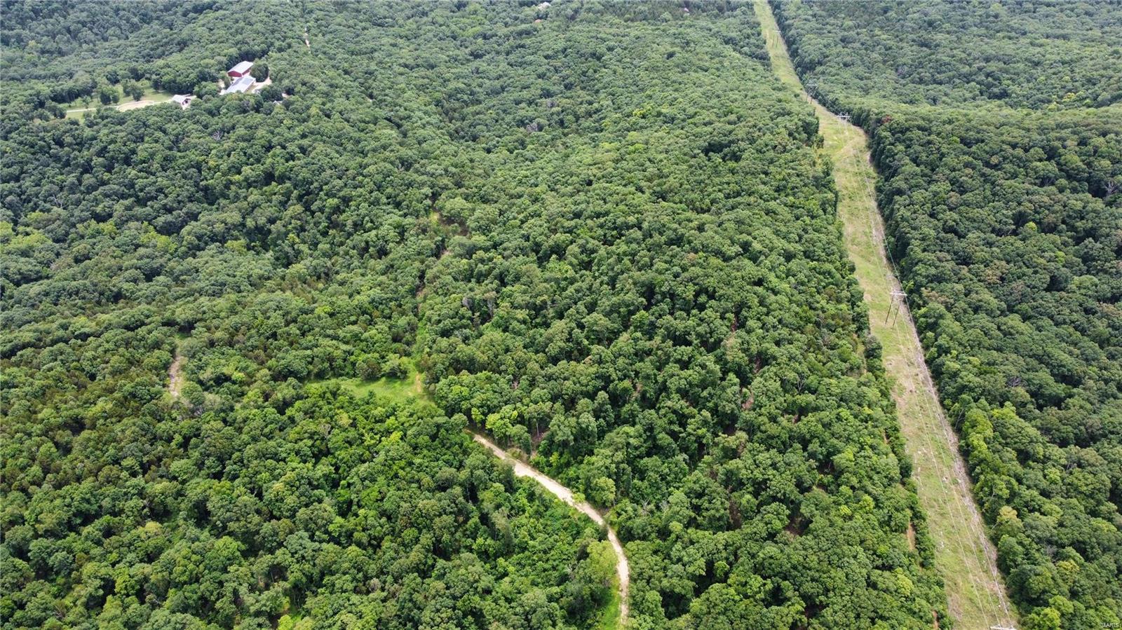 Hummingbird Hills - Farm