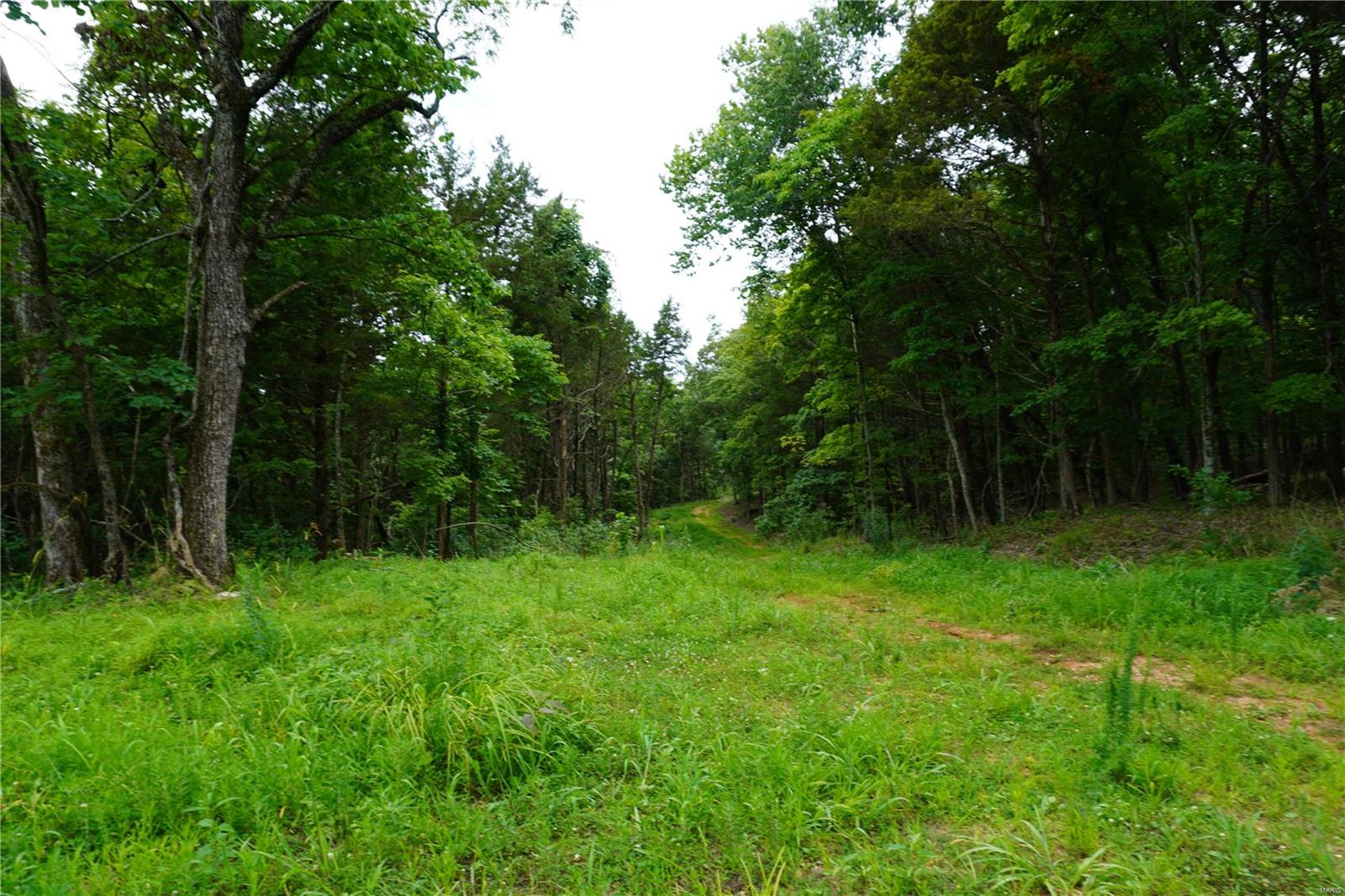 Hummingbird Hills - Farm