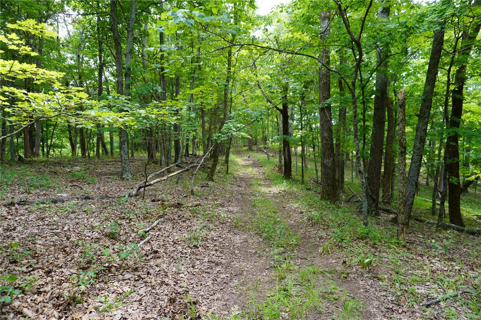 Hummingbird Hills - Farm