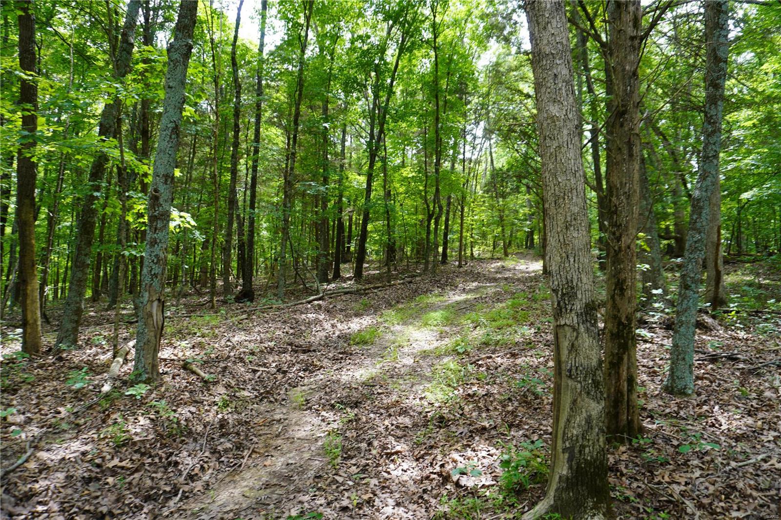 Hummingbird Hills - Farm